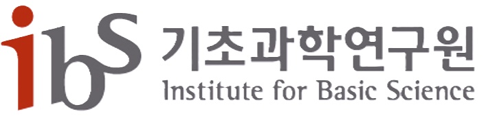 IBS logo