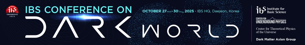 IBS Conference on Dark World